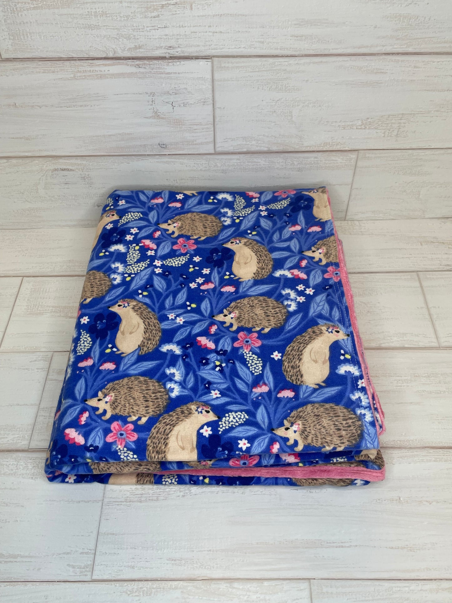 Hedgehog Adventure Minky Blanket 41" x 46"